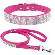 Pet Collar Leash Set